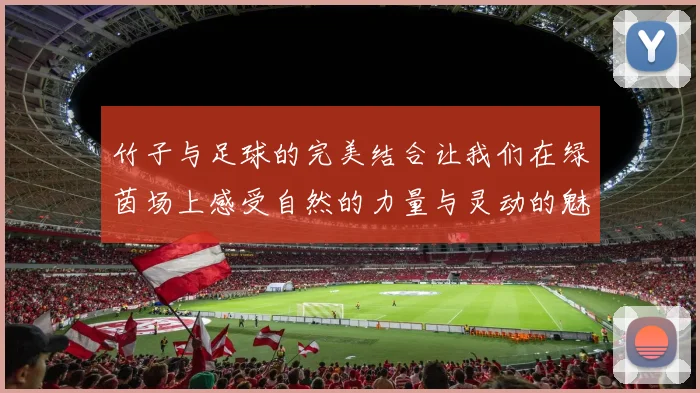 竹子与足球的完美结合让我们在绿茵场上感受自然的力量与灵动的魅力
